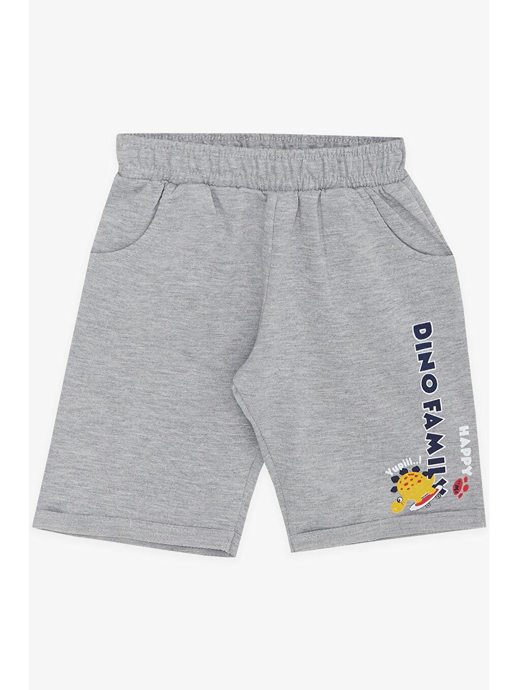 Erkek Çocuk Şortlu Takım Mutlu Dinozor Aile Baskılı Mint Yeşili (1-3 Yaş)-3