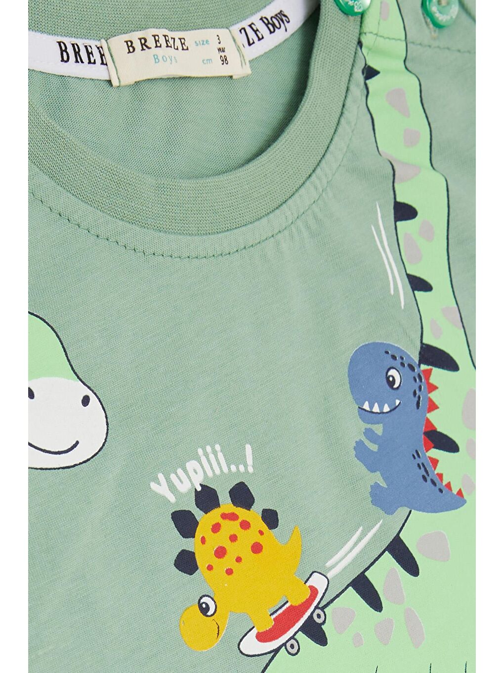 Erkek Çocuk Şortlu Takım Mutlu Dinozor Aile Baskılı Mint Yeşili (1-3 Yaş)-4