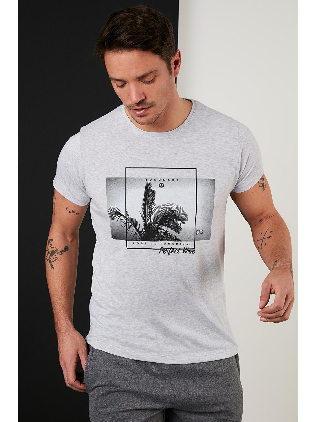 Gri Baskılı %100 Pamuk Bisiklet Yaka Slim Fit Tişört 541PERFECTWAVE