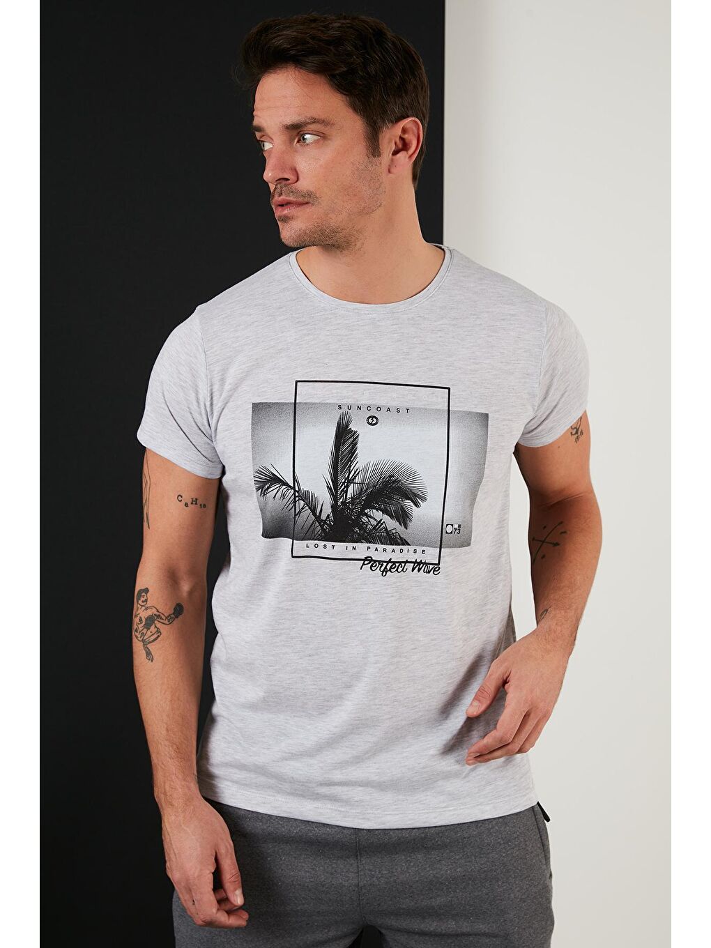 Gri Baskılı %100 Pamuk Bisiklet Yaka Slim Fit Tişört 541PERFECTWAVE-1