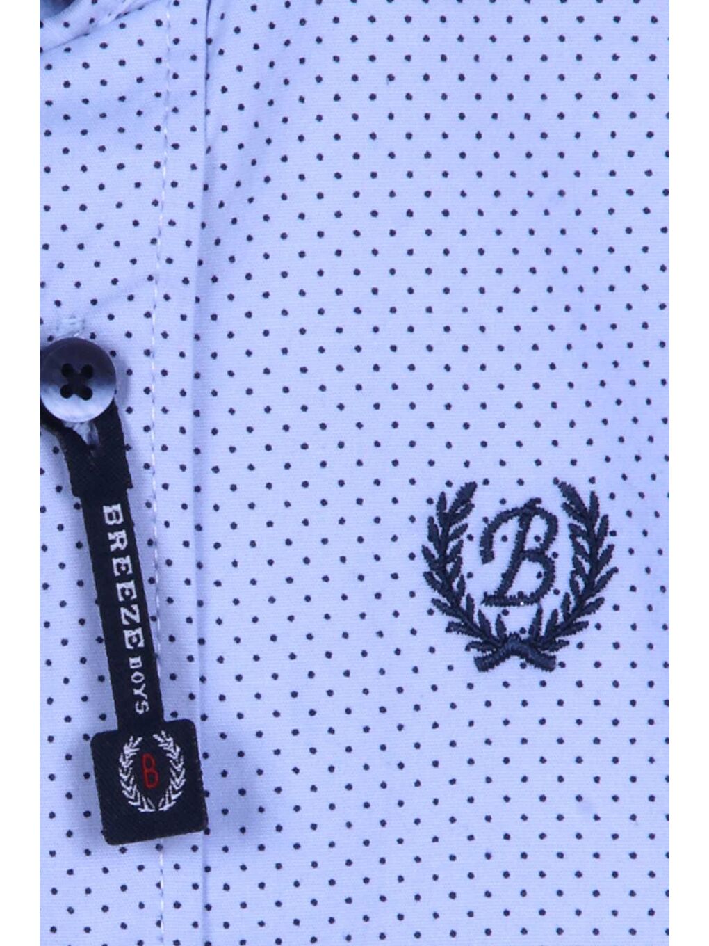 Erkek Çocuk Gömlek Puantiyeli Mavi (3-6 Yaş)-3