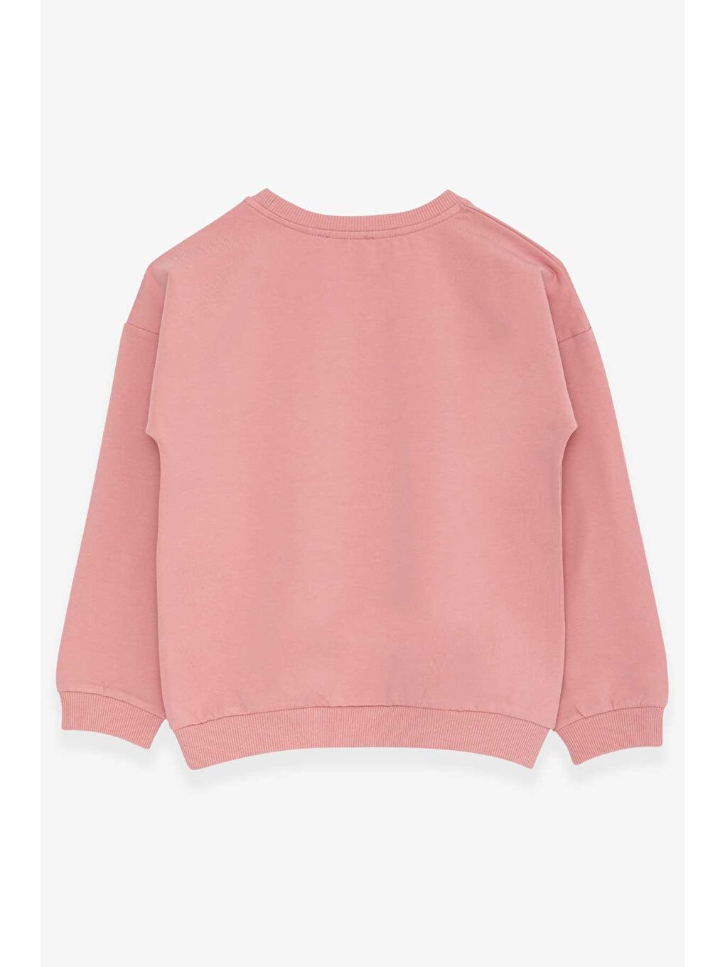 Pembe Kız Çocuk Sweatshirt Pullu Yazı Baskılı Gülkurusu (4-8 Yaş)-1