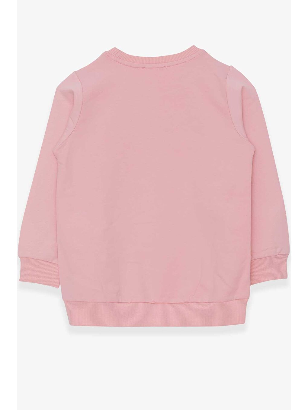 Pembe Kız Çocuk Sweatshirt Dostluk Temalı Pudra (6-10 Yaş)-1