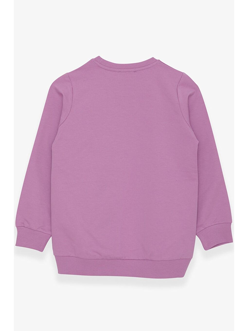 Lila Kız Çocuk Sweatshirt Dostluk Temalı Eflatun (6-12 Yaş)-1