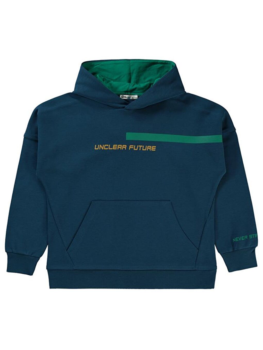 Petrol Boys Unclear Future Baskılı 10-13 Yaş Sweatshirt - Yeşil 13-14 Yaş-1