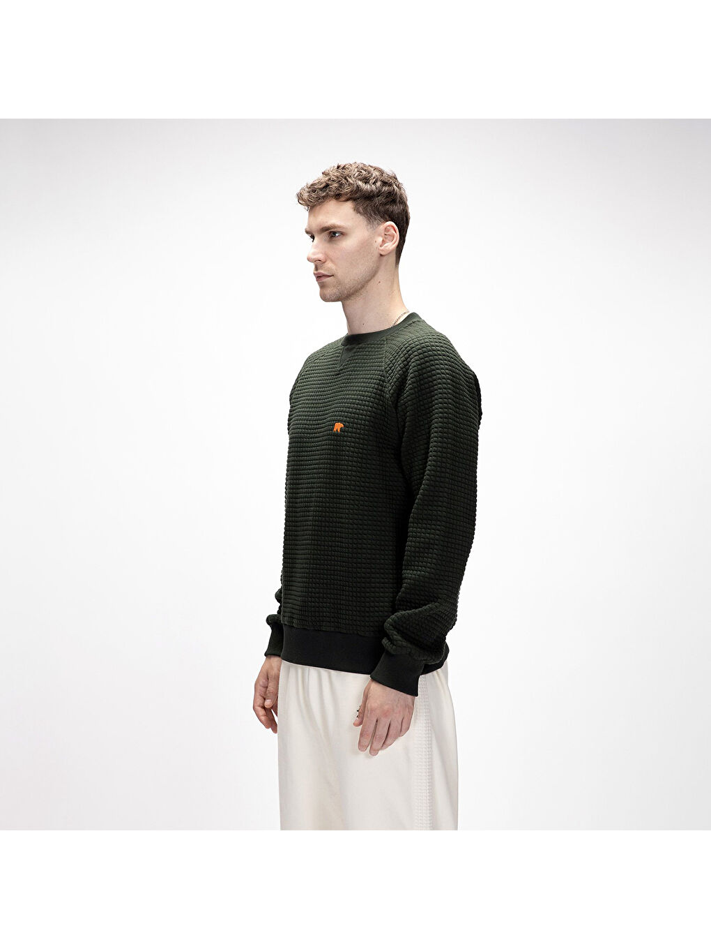 Diez Erkek Haki Sweatshirt-2