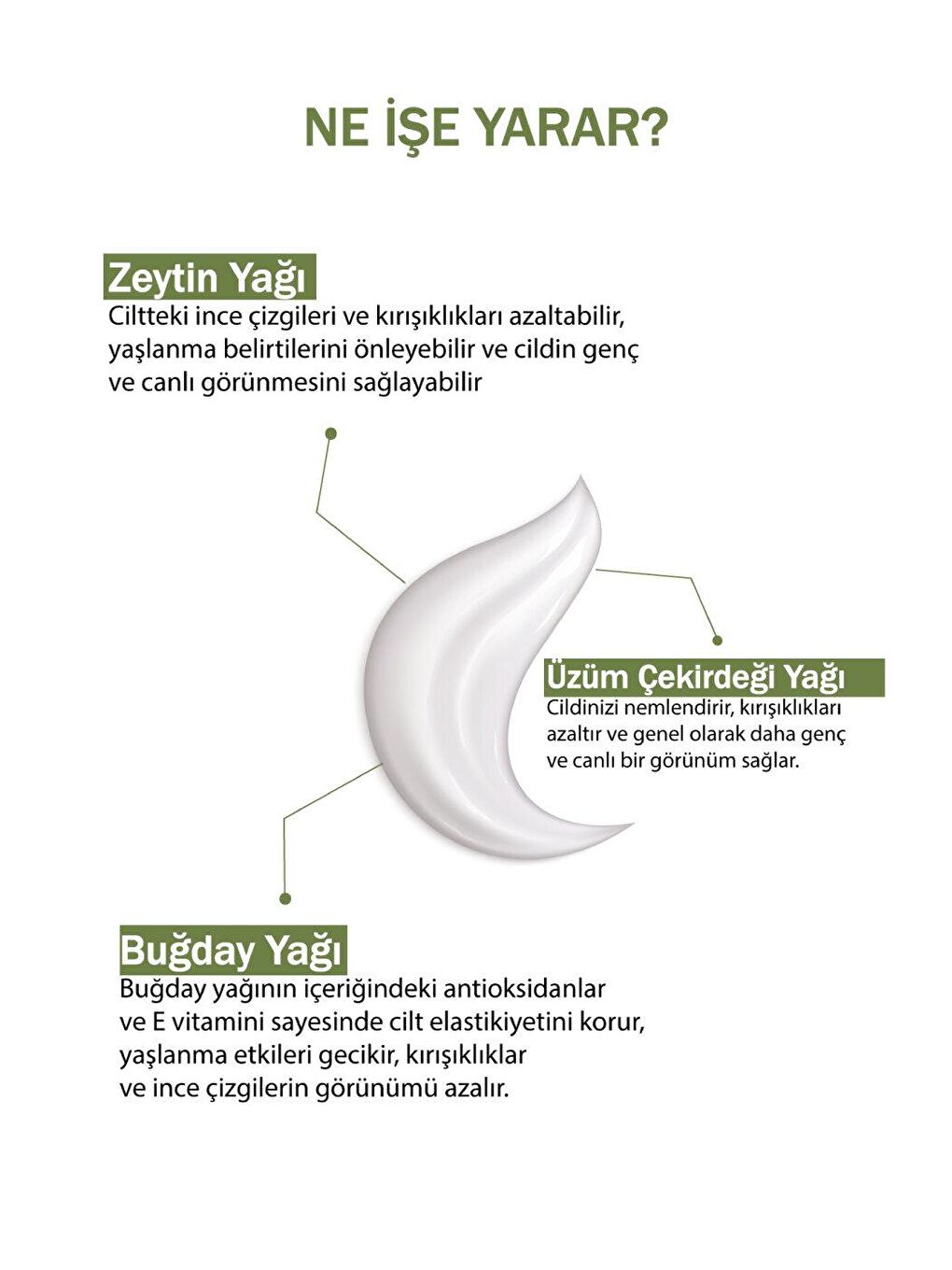 Zeytinyağlı Doğal Nemlendirici İnce Çizgi ve Kırışık Karşıtı Yüz Kremi