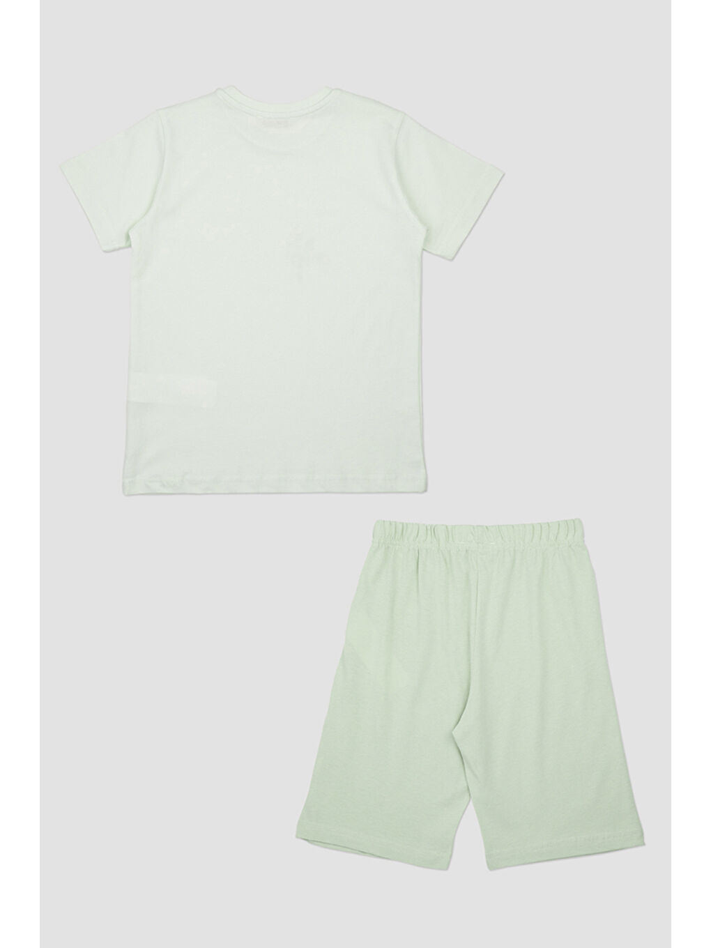 Erkek Çocuk Dinozor Baskılı Yeşil Pijama Takımı-1