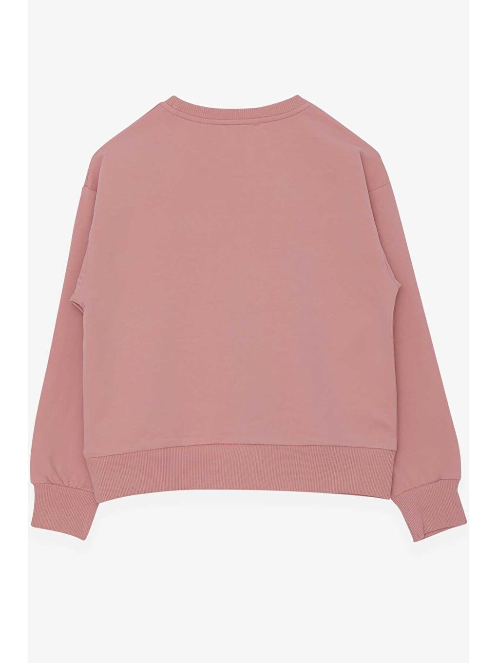 Pembe Kız Çocuk Sweatshirt Pullu Kız Baskılı Somon (8-9 Yaş)-1