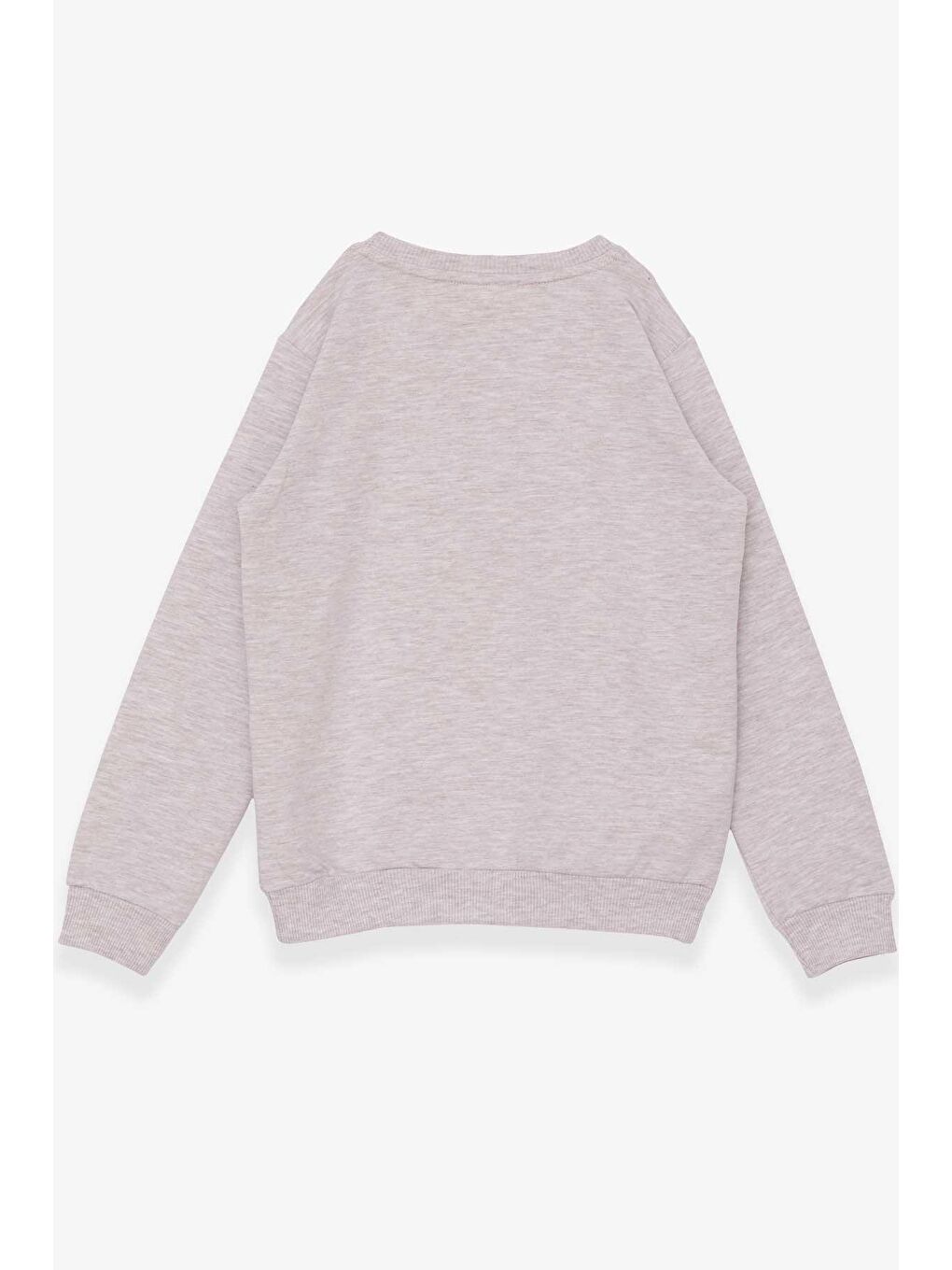 Kız Çocuk Sweatshirt Gözlüklü Pullu Kız Baskılı Bej Melanj (6-12 Yaş)-1