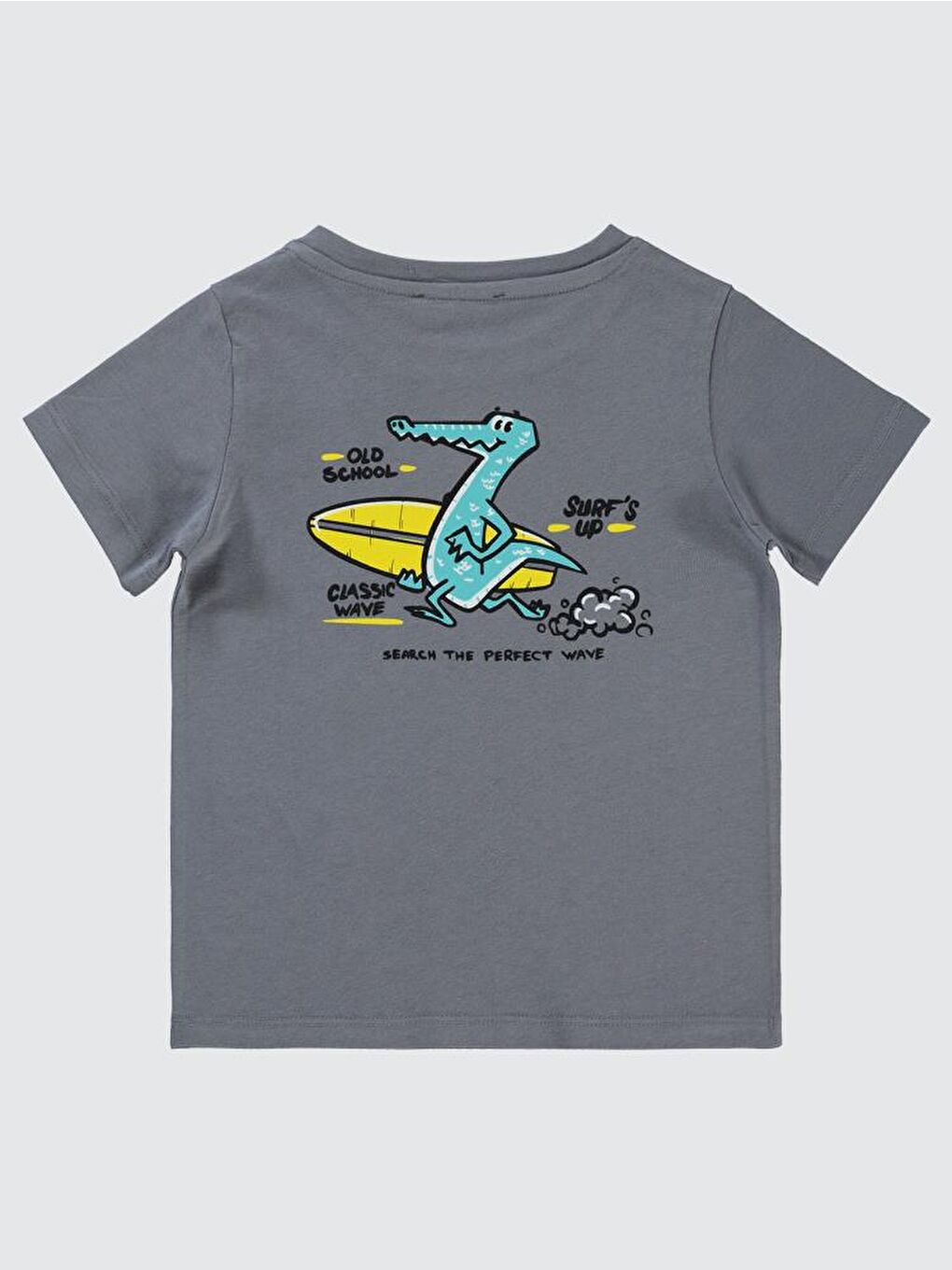 Erkek Çocuk Tişört 2-5 Yaş Gri