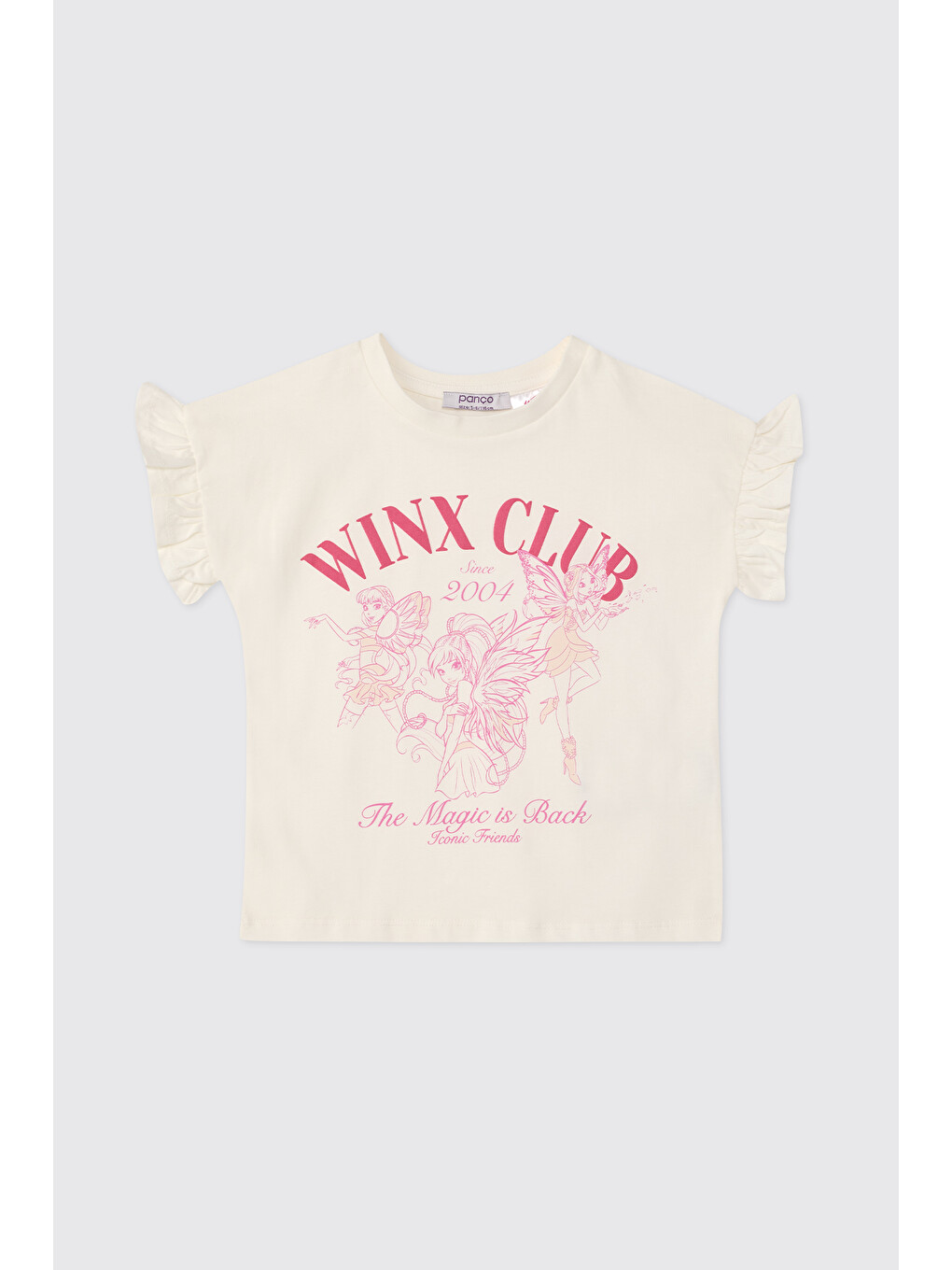 Winx Club Kız Çocuk Pembe Pijama Takımı-3