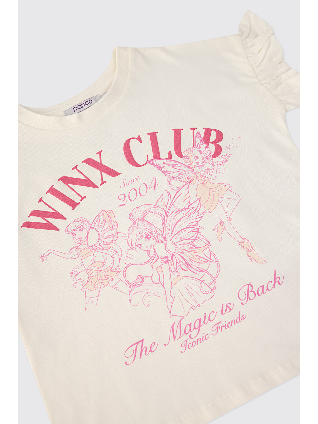 Winx Club Kız Çocuk Pembe Pijama Takımı-5