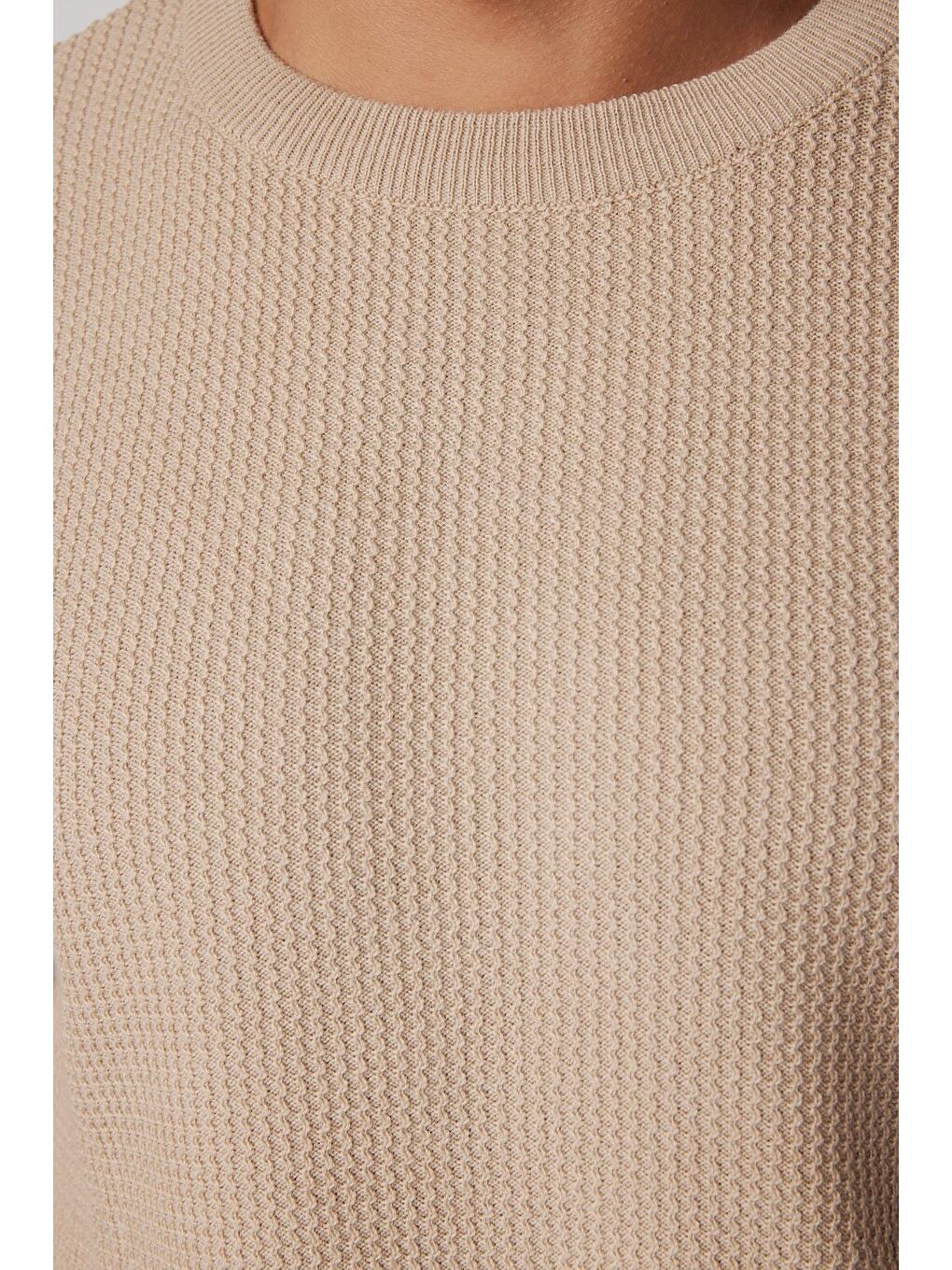 Bej Slim Fit Bisiklet Yaka Desenli Taş Erkek Kazak-3