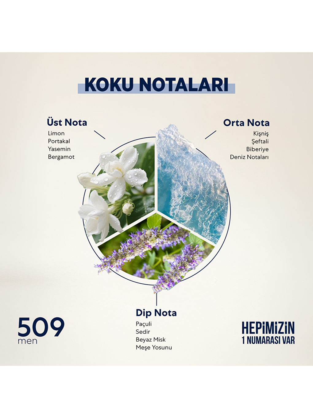 Erkek Parfüm Fresh 50ml No:509-1