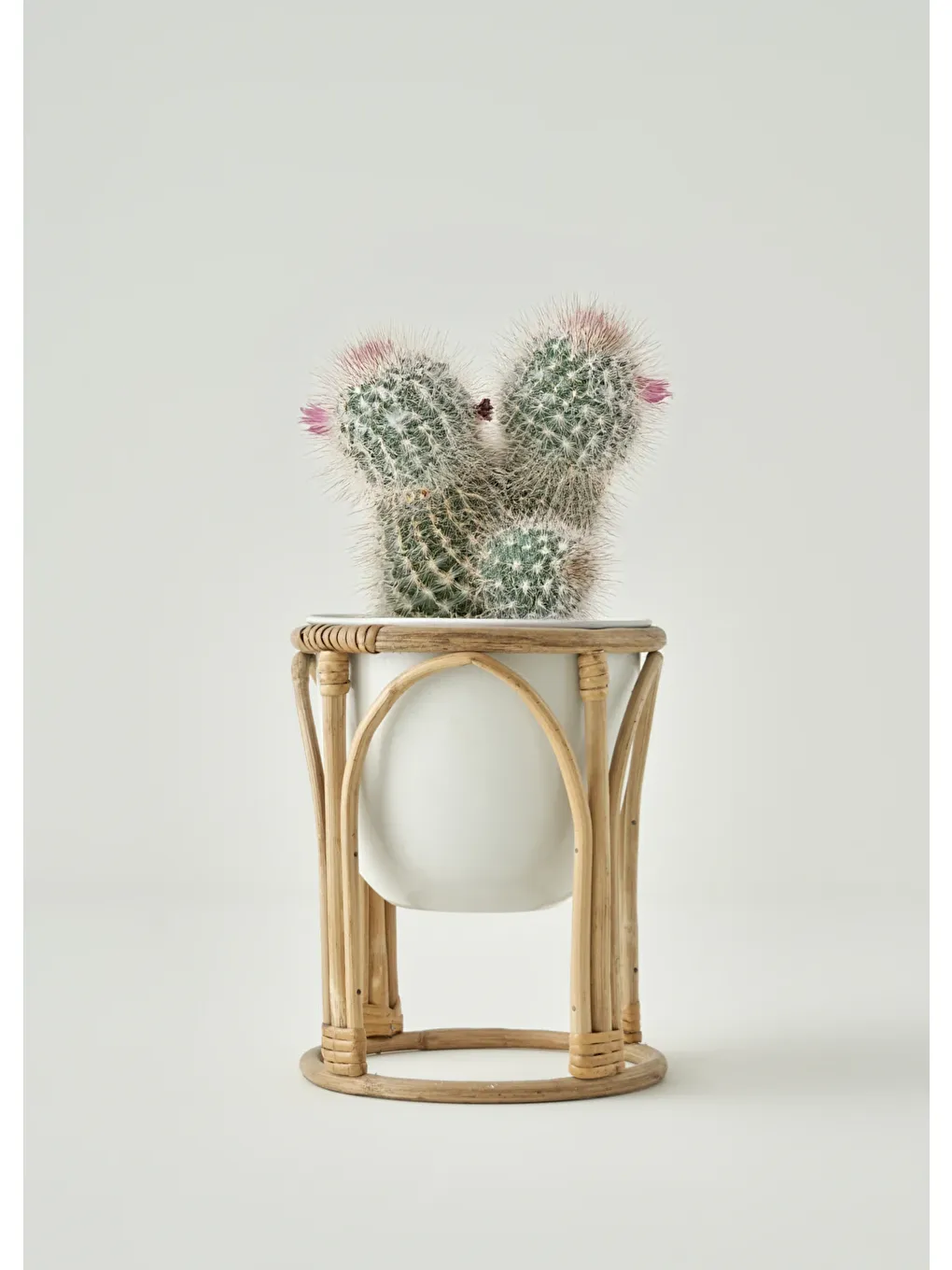 Bej Glim Saksı Krem (22x22x25 cm)