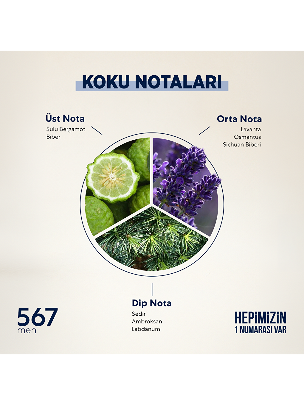 Erkek Parfüm Fresh 50ml No:567-1
