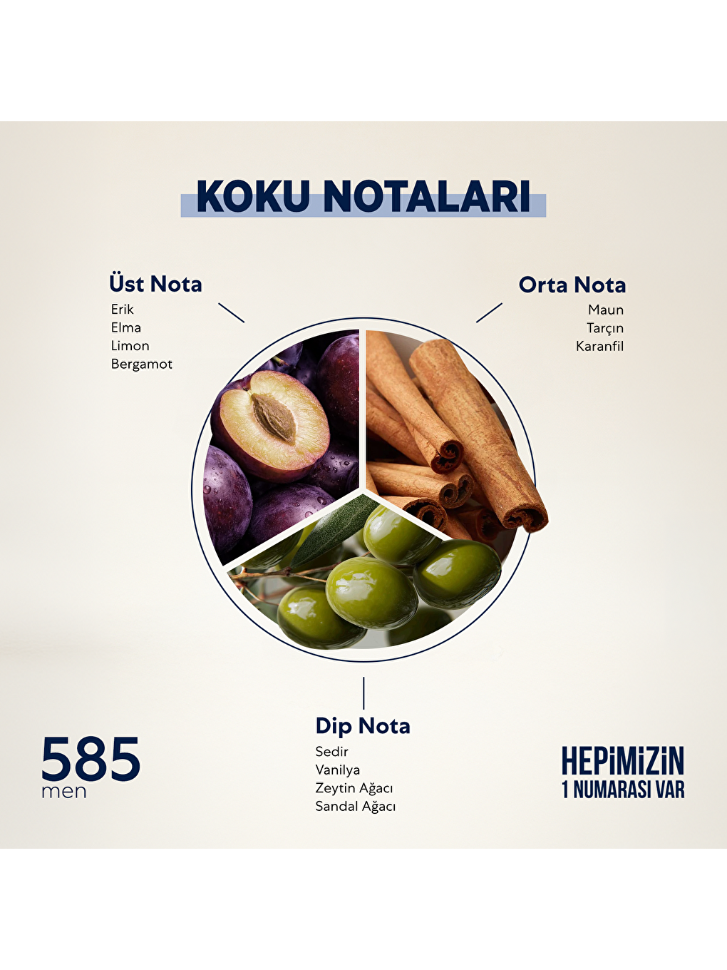 Erkek Parfüm Çiçeksi 50ml No:585-1