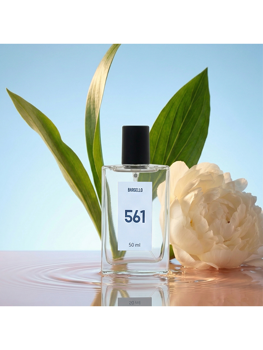 Erkek Parfüm Fresh Edp 50ml No:561-3