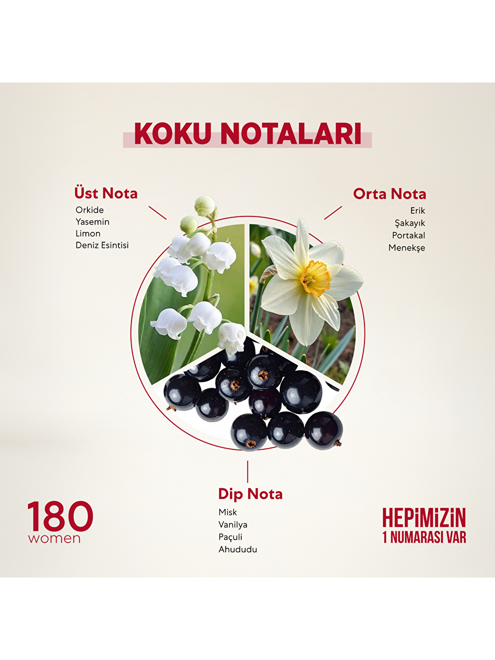 Kadın Parfüm Çiçeksi 50ml Edp No:180-1