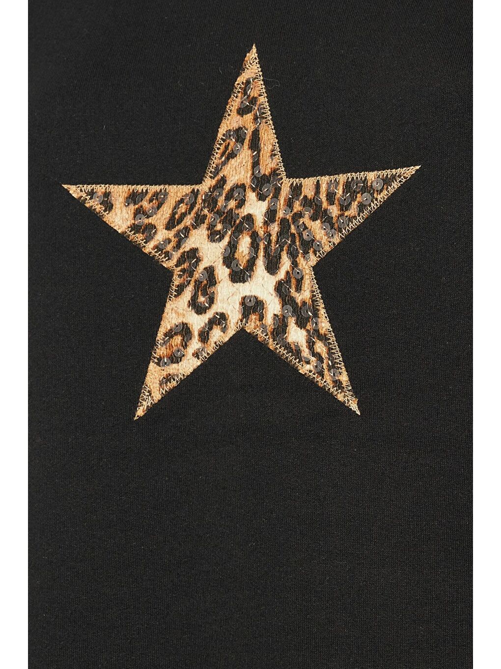 Siyah Büyük Beden Uzun Kollu Bisiklet Yaka Payet İşlemeli Sweatshirt 303833-5