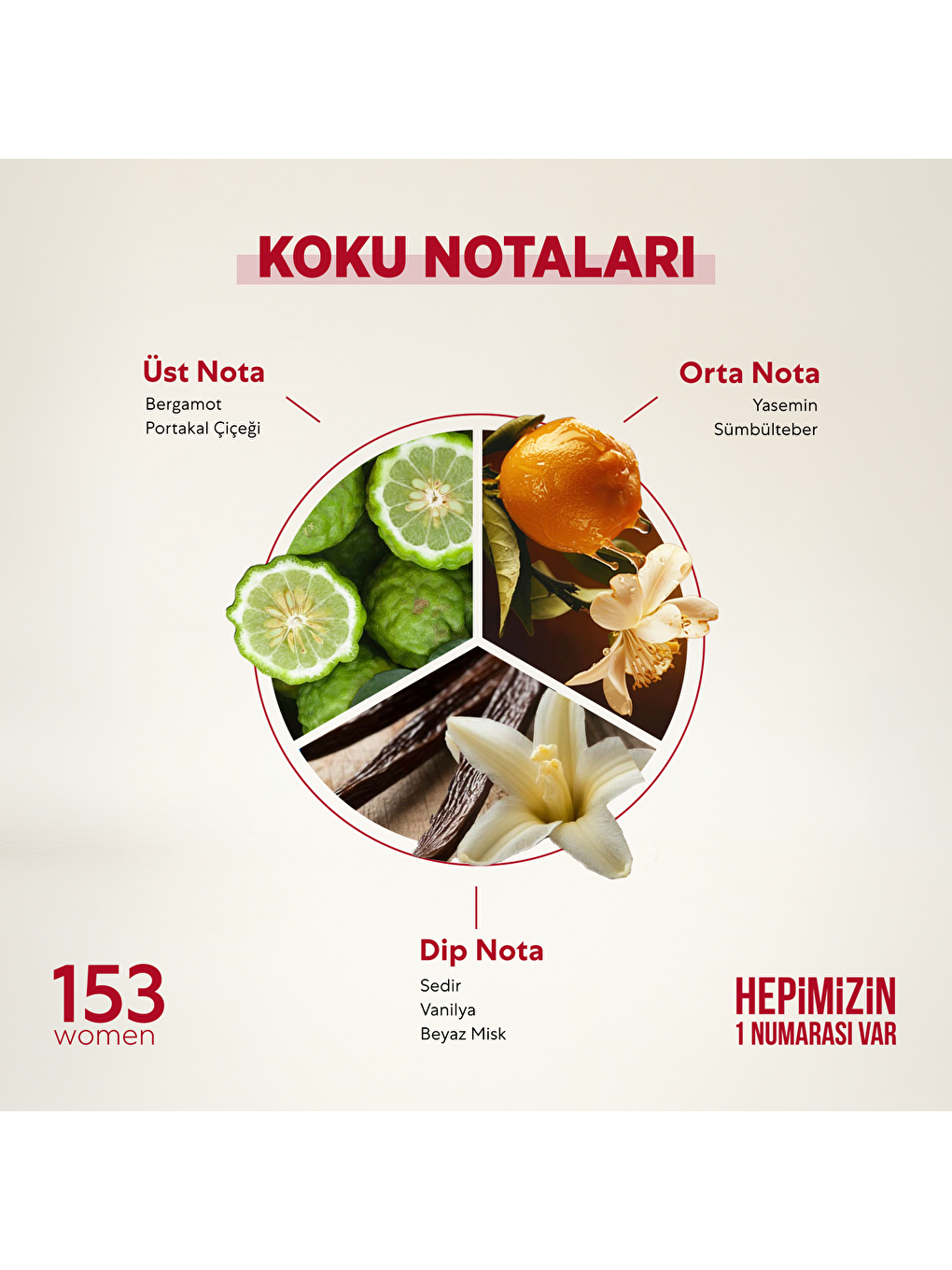 Kadın Parfüm Çiçeksi - 50ml Edp No:153-1