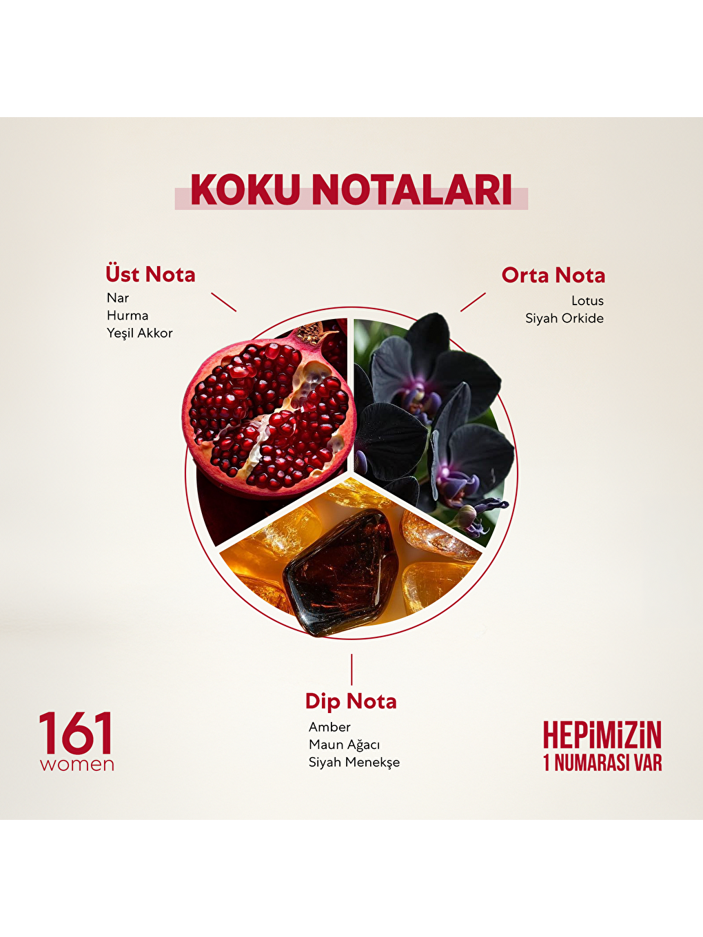 Kadın Parfüm Oriental - 50ml Edp No:161-1
