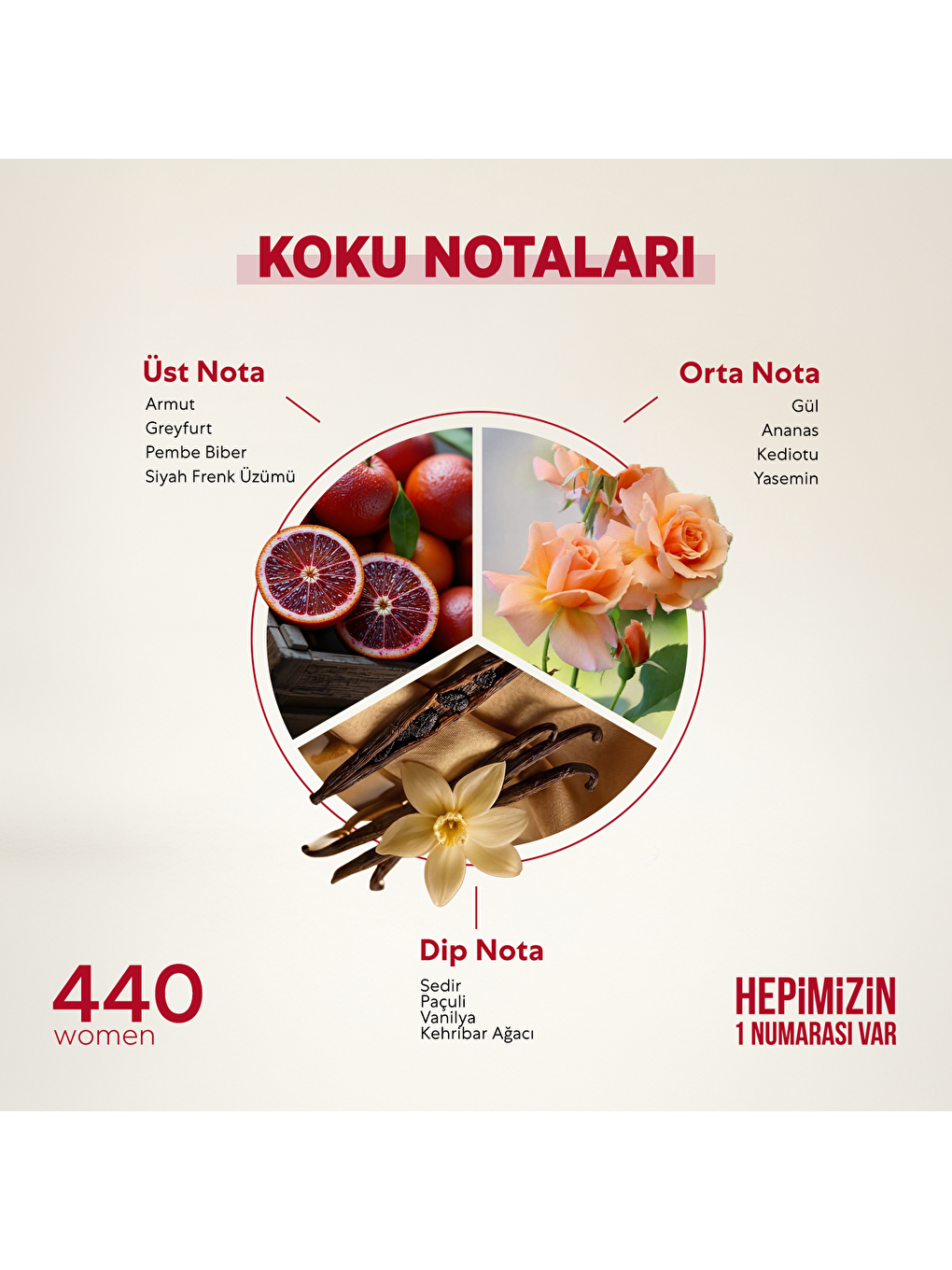 Kadın Parfüm Çiçeksi - 50ml Edp No:440-1