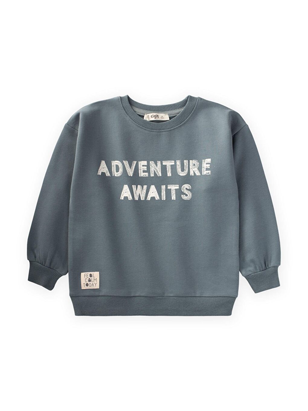 CİGİT Çağla Yeşili Adventure Baskılı Sweatshirt 2-10 Yaş Çağla Yeşili