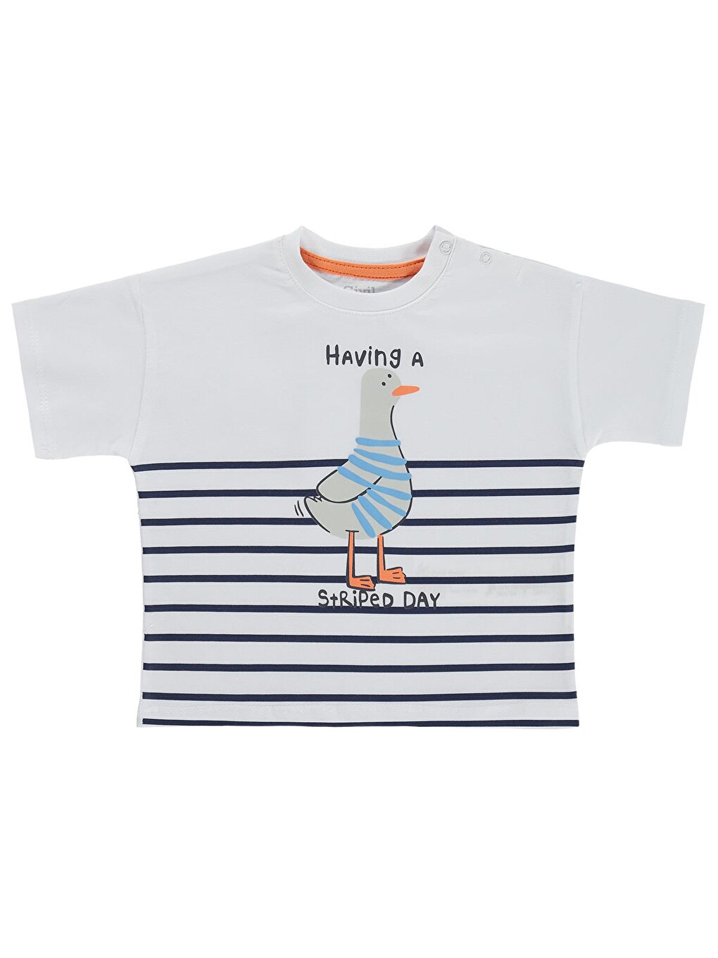 Baby Martı Baskılı 3-12 Ay Tişört - Beyaz