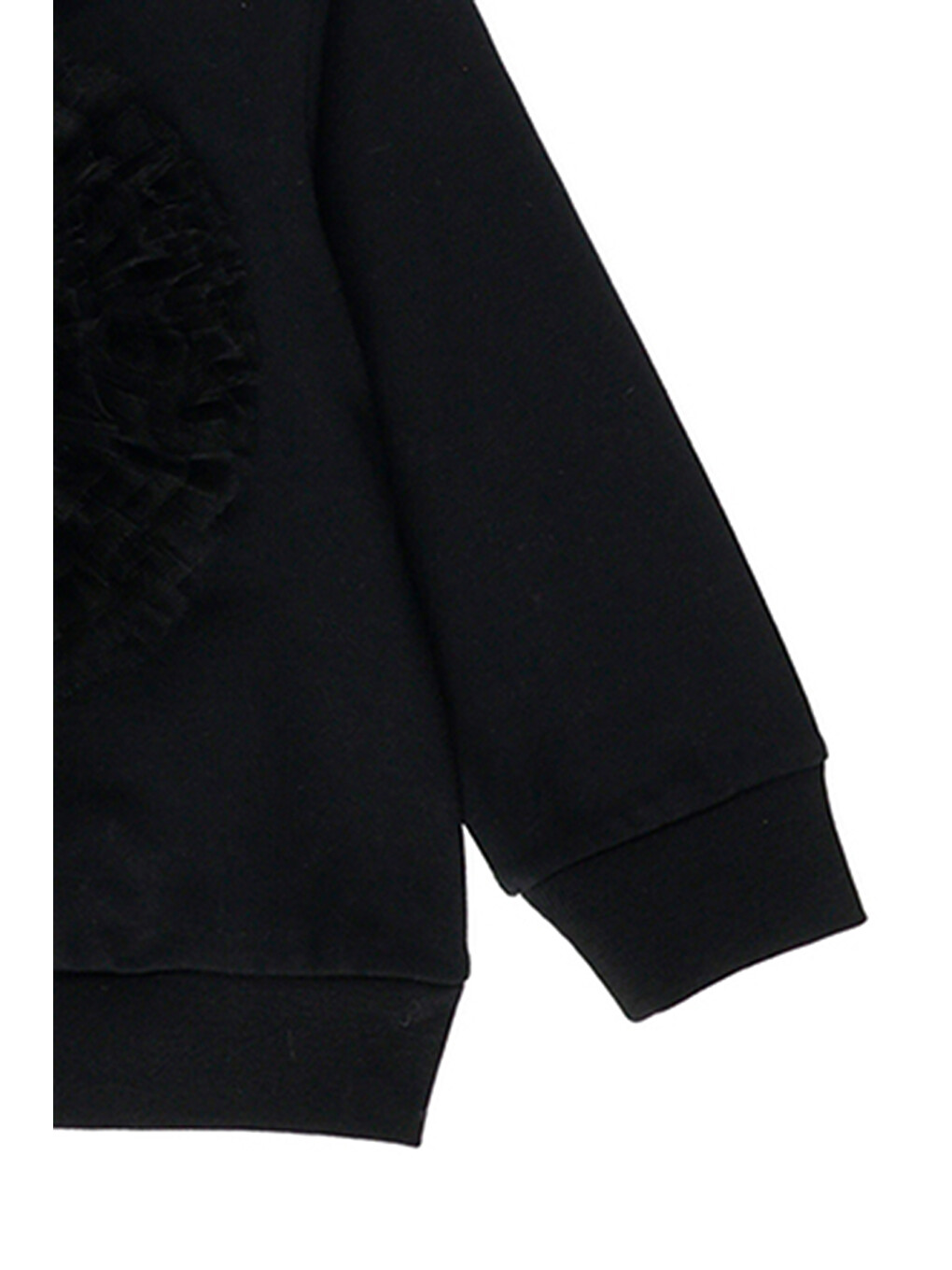 Kız Bebek Nakış Detaylı Siyah Sweatshirt-2