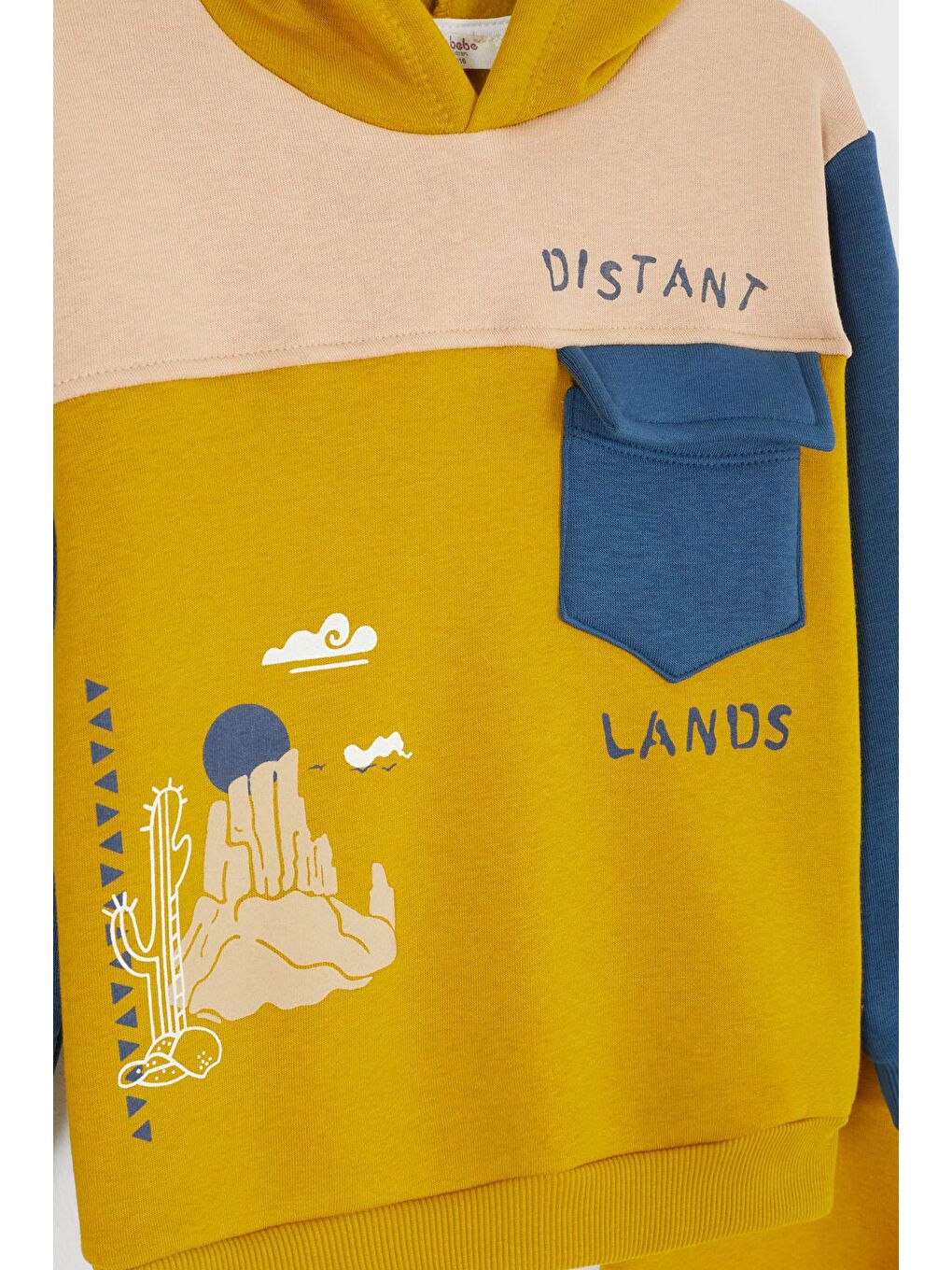 Sarı Kaktüs Baskılı Üç İp Şardonlu Erkek Çocuk Eşofman Takım 17113-1
