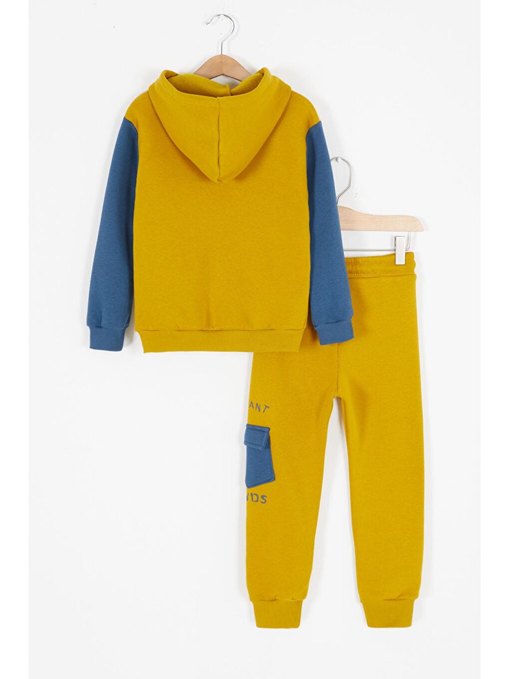 Sarı Kaktüs Baskılı Üç İp Şardonlu Erkek Çocuk Eşofman Takım 17113-4