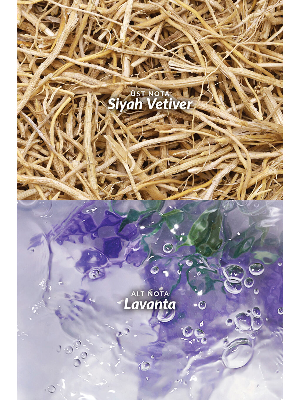 Full Speed ve Elite Gentleman in Black Erkek Parfüm Edt 75 ml-6