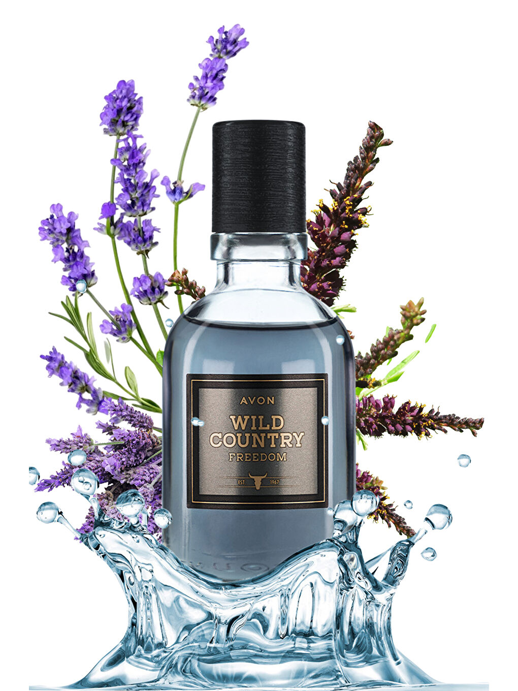 Full Speed ve Wild Country Freedom Erkek Parfüm Paketi-2