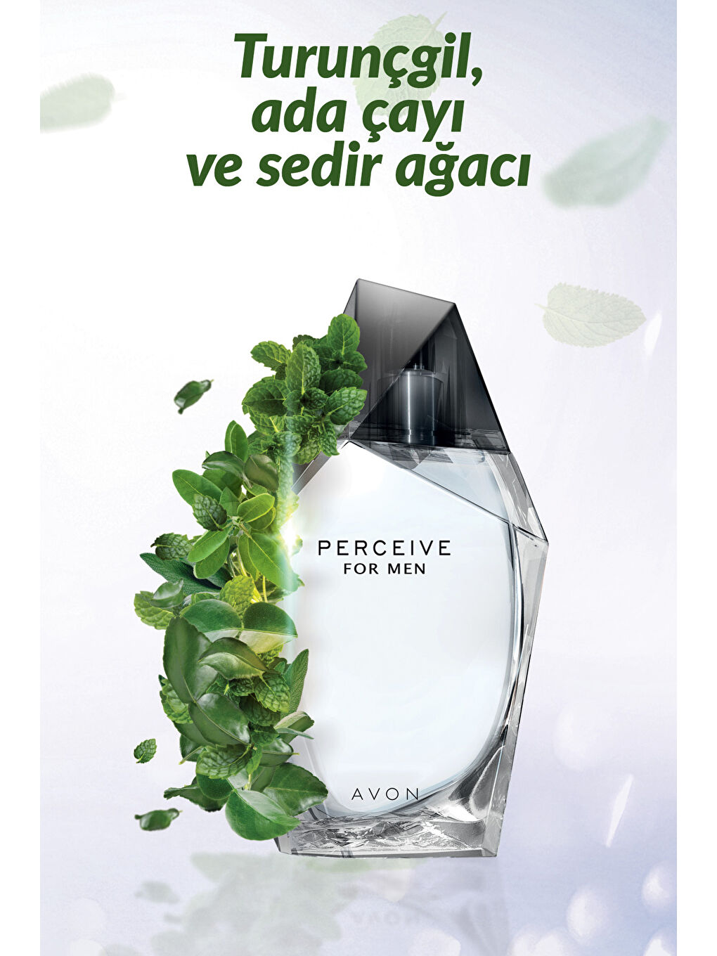 Perceive Erkek Parfüm 100 ml ve Full Speed Erkek Parfüm 75 ml İkili Paket-2