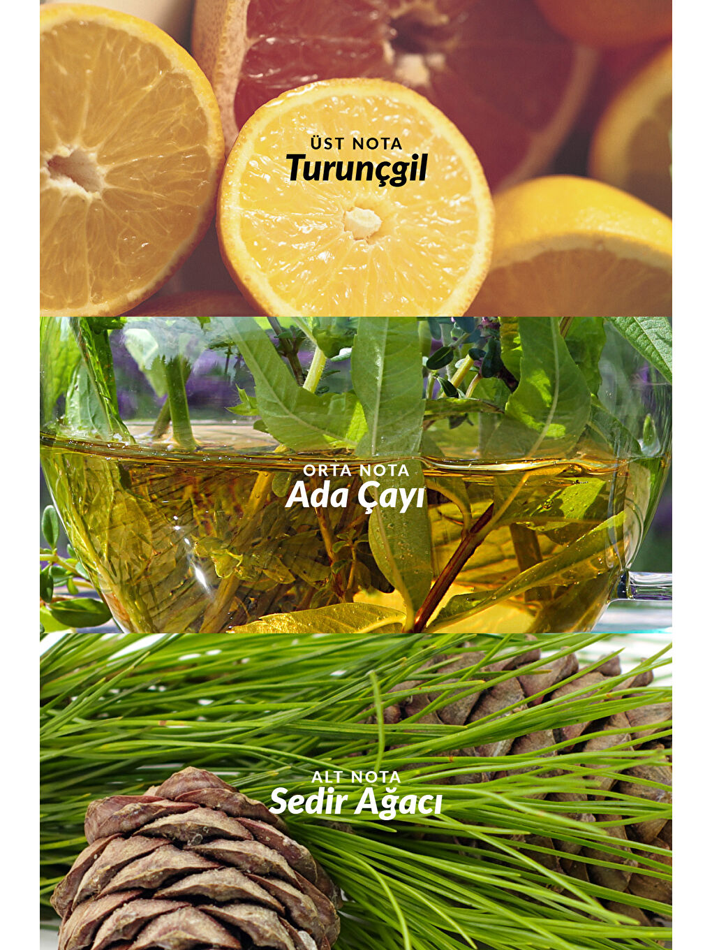 Perceive Erkek Parfüm 100 ml ve Full Speed Erkek Parfüm 75 ml İkili Paket-3