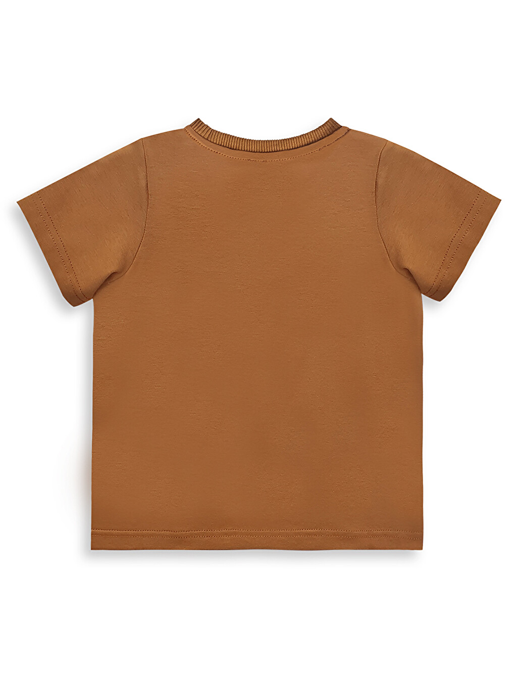 Kahverengi Dinozor Erkek Bebek T-shirt Kaşkorse Şort Takım-4