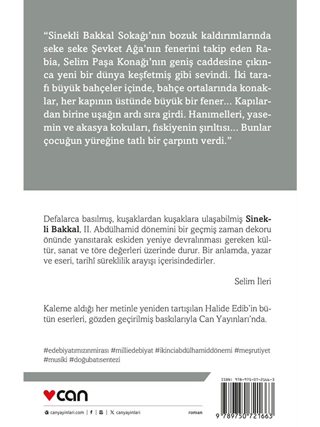 Sinekli Bakkal-2