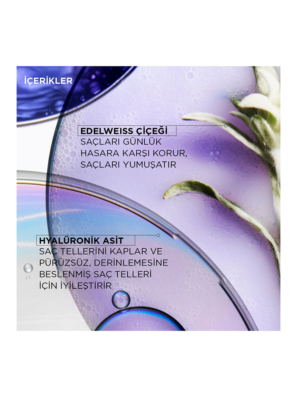 Blond Absolu Cicaplasme Serum 150ml-2