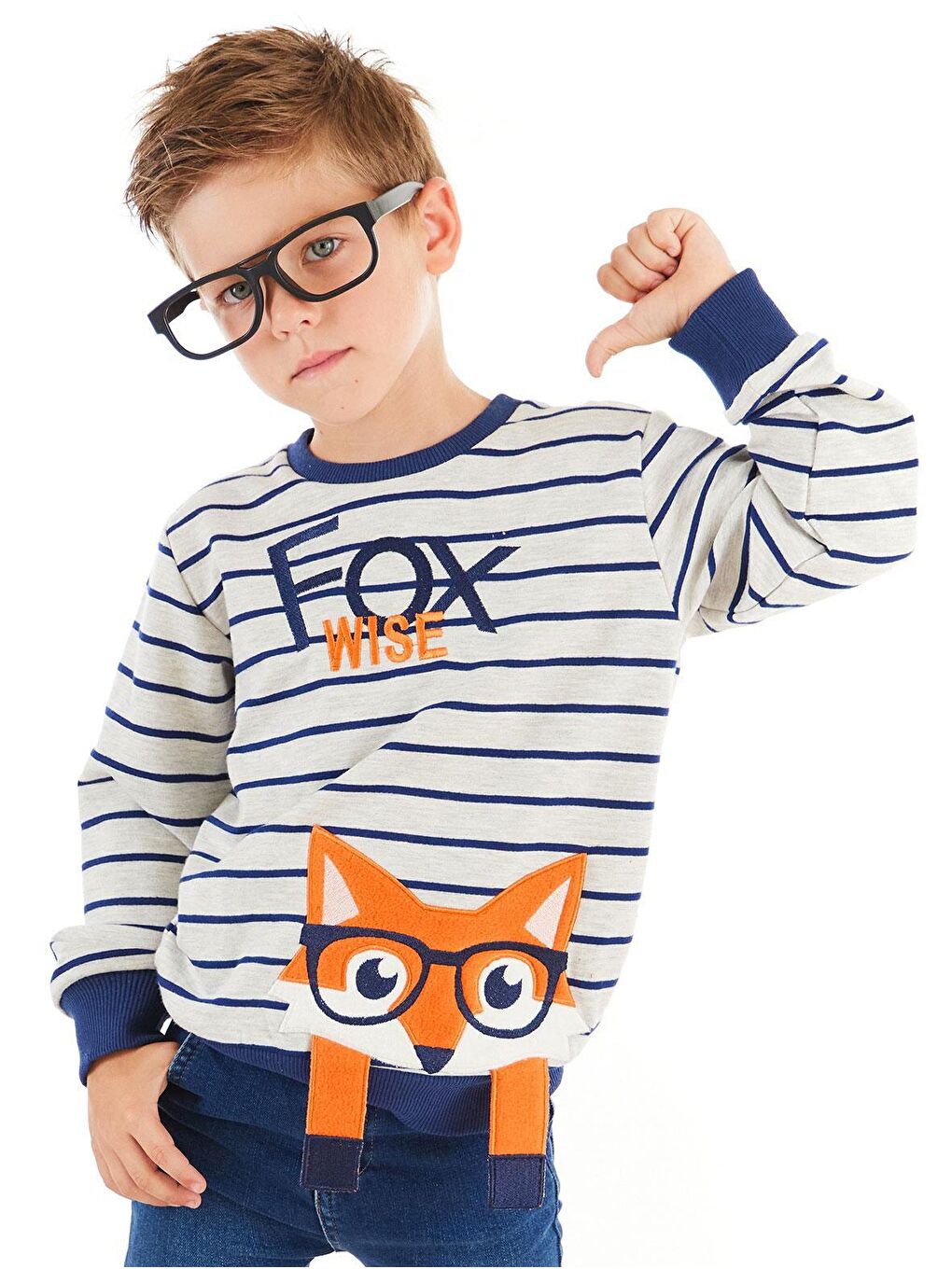 Denokids Karışık Tilki Çizgili Erkek Çocuk Sweatshirt