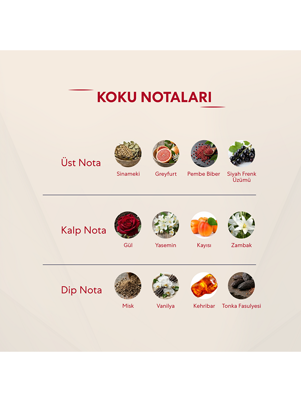 Kadın Parfüm Çiçeksi - 50ml Edp No:108-2