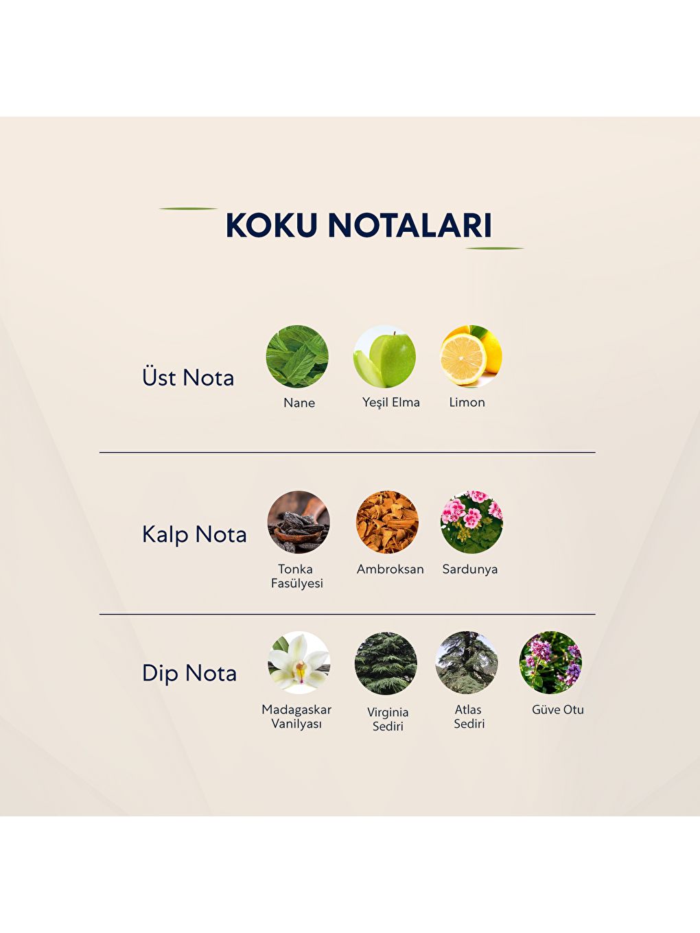 685 Erkek 50ml Parfüm Edp Fresh-2