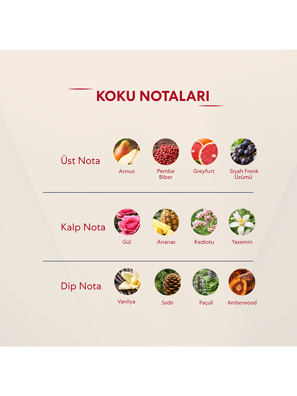 Kadın Parfüm Çiçeksi - 50ml Edp No:440-2