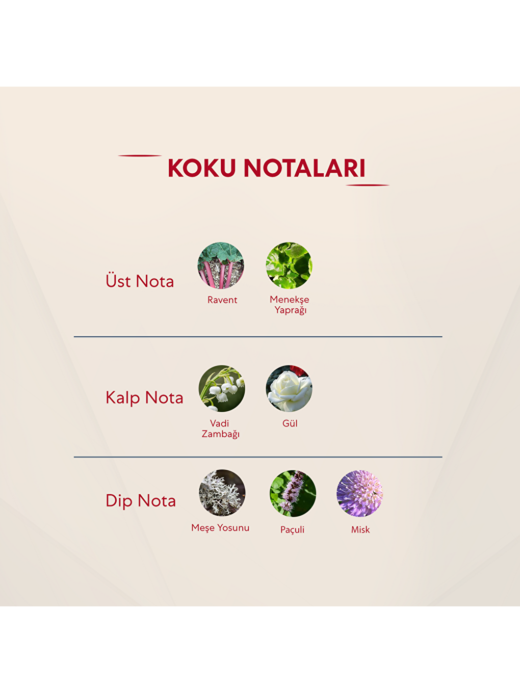 Kadın Parfüm Çiçeksi - 50ml Edp No:272-2