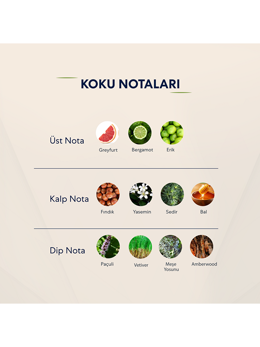 Erkek Odunsu Parfüm 50ml No:575-2