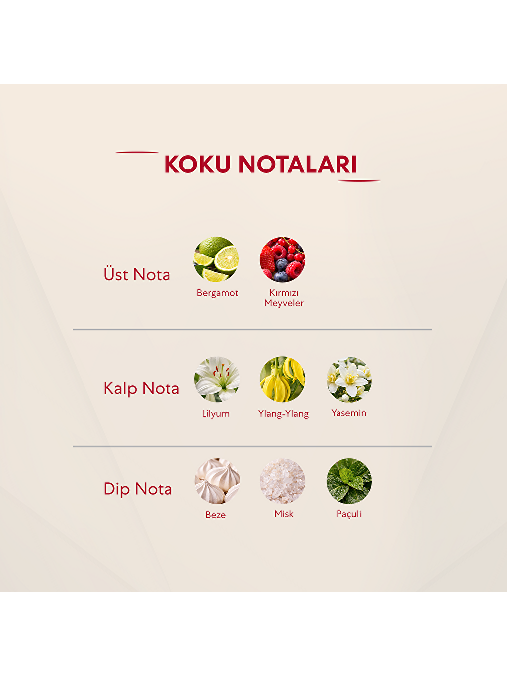 221 Kadin 50 Ml Parfüm Edp Floral-2