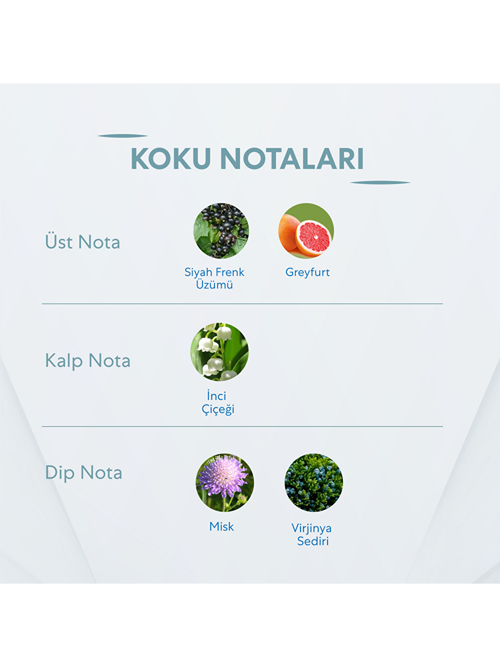 Kadın Parfüm - 50ml-2