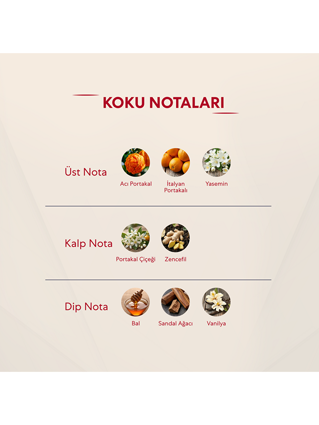 Kadın Parfüm Çiçeksi 50ml No:116-2