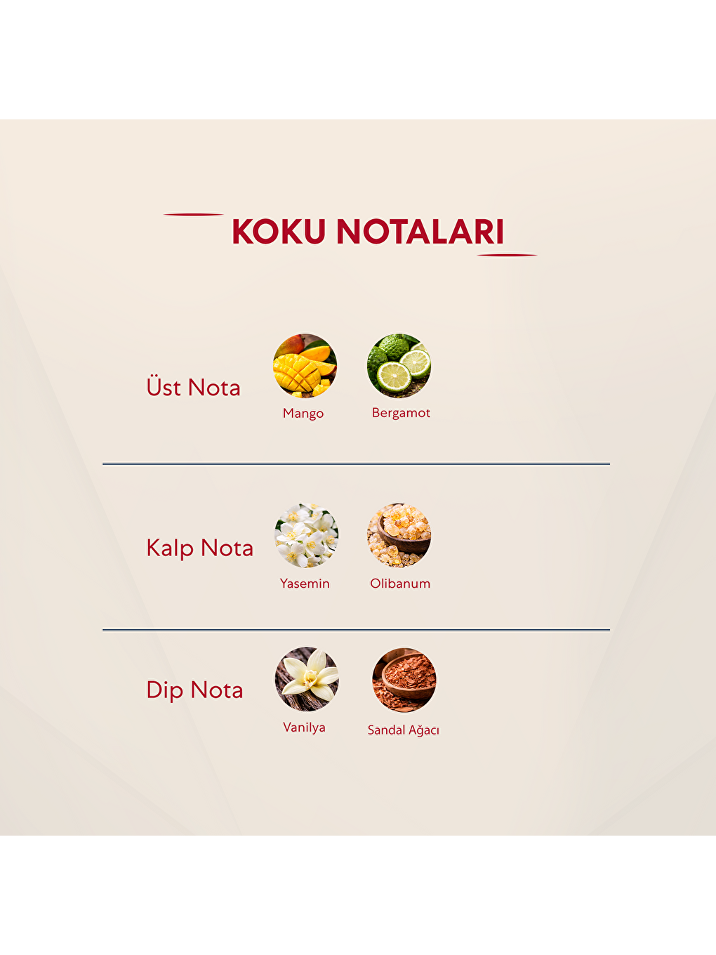 Kadın Parfüm Çiçeksi - 50ml Edp No:309-2